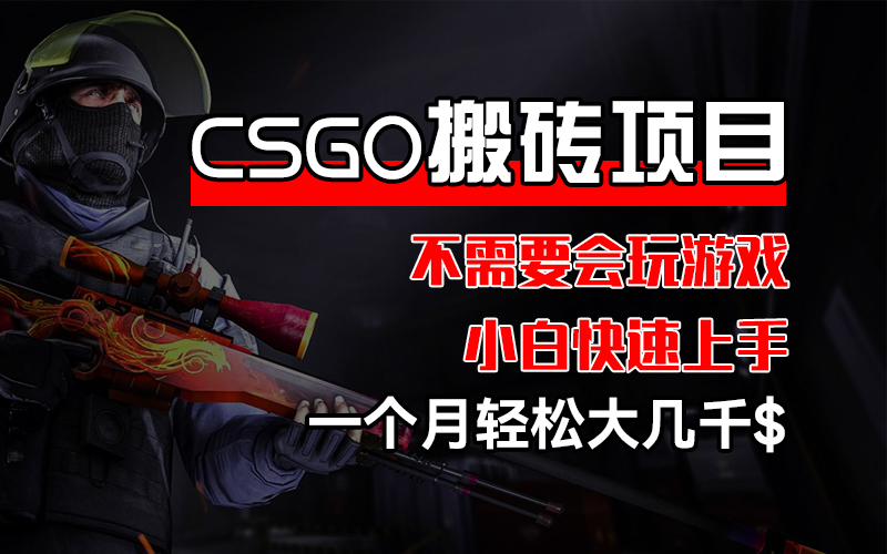 （12332期）CSGO 装备搬砖项目，操作简单，不需要会玩游戏，小白也能快速上手，一…| 网创圈
