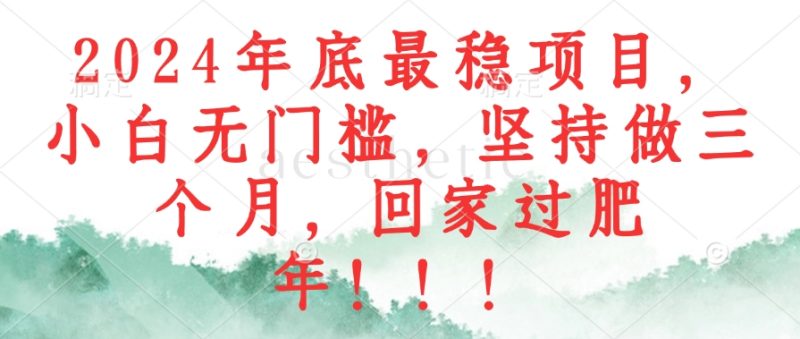 （12970期）2024年底最稳项目，小白无门槛，坚持做三个月，回家过肥年！！！| 网创圈