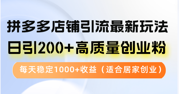 （12892期）拼多多店铺引流最新玩法，日引200+高质量创业粉，每天稳定1000+收益（…| 网创圈