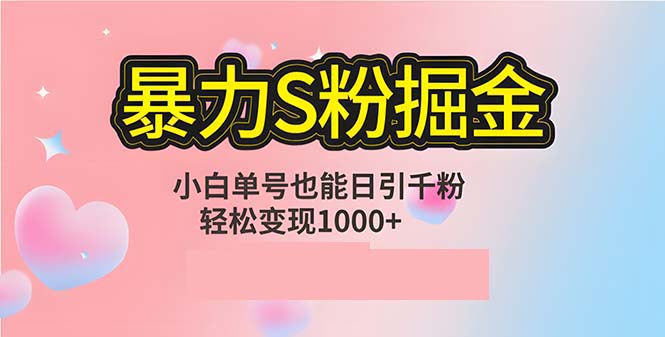 （12778期）单人单机日引千粉，变现1000+，S粉流量掘金计划攻略| 网创圈