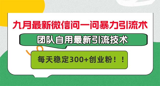 （12735期）九月最新微信问一问暴力引流术，团队自用引流术，每天稳定300+创…| 网创圈