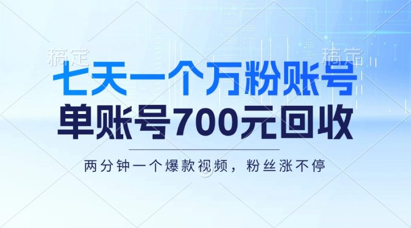 （13062期）七天一个万粉账号，新手小白秒上手，单账号回收700元，轻松月入三万＋| 网创圈