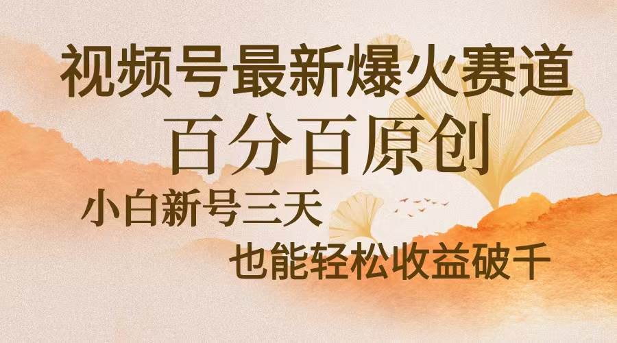 （13225期）视频号最新爆火赛道，中老年粉深信不疑，百分百原创，新号三天收益轻松…| 网创圈