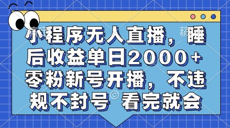 （13251期）小程序无人直播，睡后收益单日2000+ 零粉新号开播，不违规不封号 看完就会| 网创圈