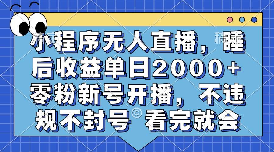 （13251期）小程序无人直播，睡后收益单日2000+ 零粉新号开播，不违规不封号 看完就会| 网创圈