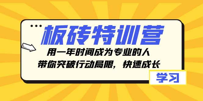 板砖特训营，用一年时间成为专业的人，带你突破行动局限，快速成长| 网创圈