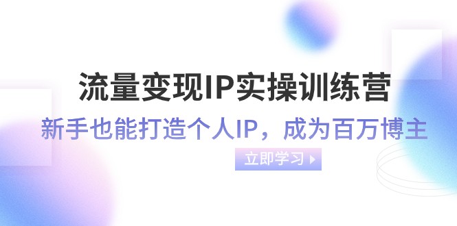 流量变现IP实操训练营：新手也能打造个人IP，成为百万 博主（46节课）| 网创圈