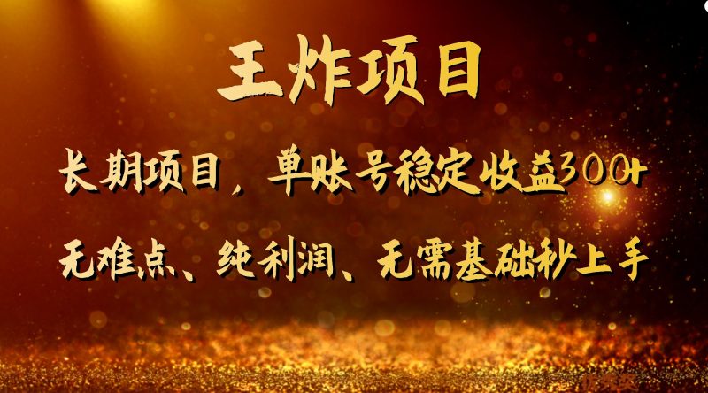 王炸项目！单账号稳定收益300+，适合长期操作的副业兼职。| 网创圈