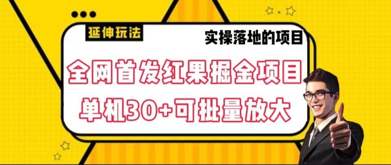 全网首发红果掘金项目，简单操作单机30＋可批量放大| 网创圈