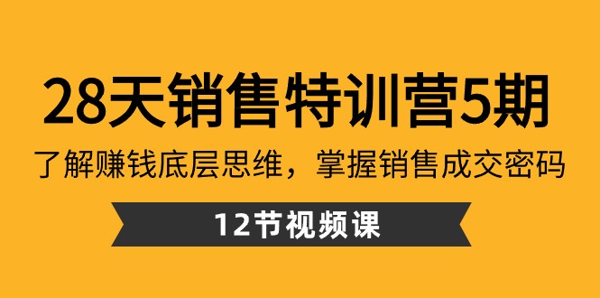28天销售特训营5期：了解赚钱底层思维，掌握销售成交密码（12节课）| 网创圈