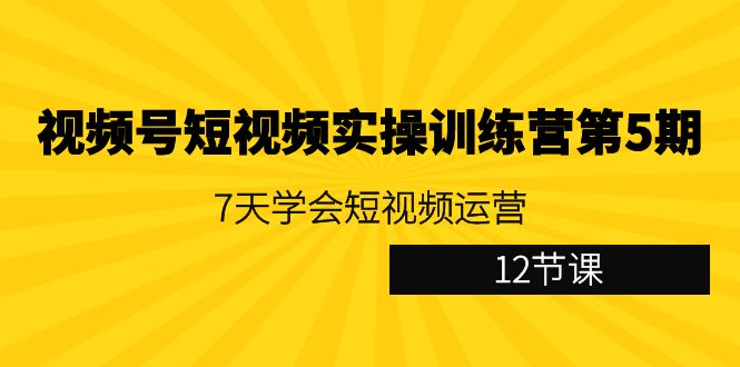 视频号短视频实操训练营第5期：7天学会短视频运营（12节课）| 网创圈