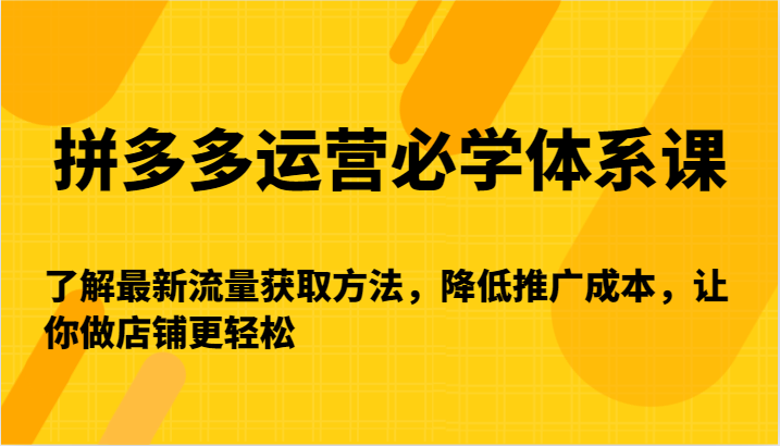 拼多多运营必学体系课-了解最新流量获取方法，降低推广成本，让你做店铺更轻松| 网创圈