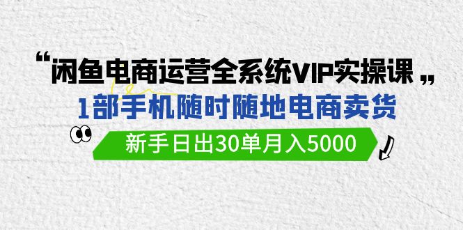 闲鱼电商运营全系统VIP实战课，1部手机随时随地卖货，新手日出30单月入5000| 网创圈