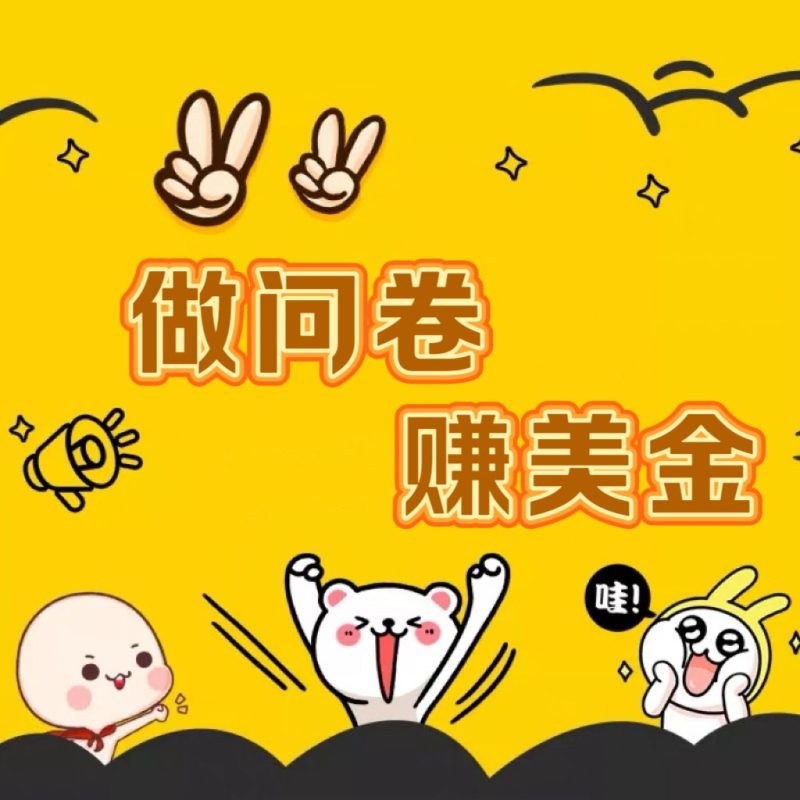 国外问卷调查小白家也可批量操作（口子查站点查渠道查）真正的长久稳定项目 日入1500+| 网创圈