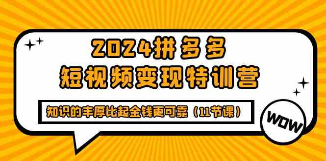 2024拼多多短视频变现特训营，知识的丰厚比起金钱更可靠（11节课）| 网创圈