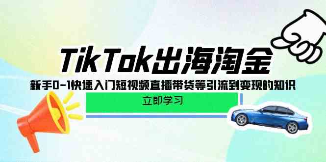 TikTok出海淘金，新手0-1快速入门短视频直播带货等引流到变现的知识| 网创圈