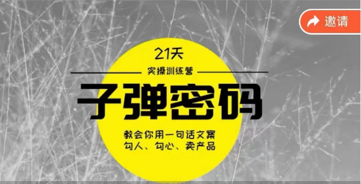 《子弹密码训练营》用一句话文案勾人勾心卖产品，21天学到顶尖文案大师策略和技巧| 网创圈