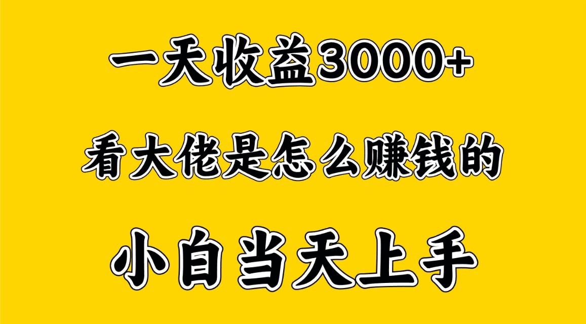 一天赚3000多，大佬是这样赚到钱的，小白当天上手，穷人翻身项目| 网创圈