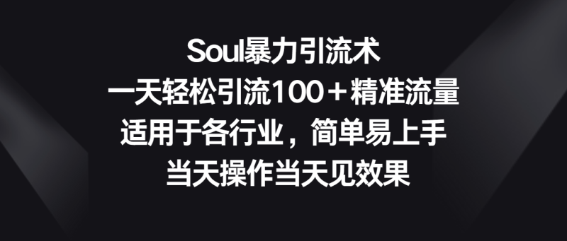 Soul暴力引流术，一天轻松引流100＋精准流量，适用于各行业，简单易上手！| 网创圈