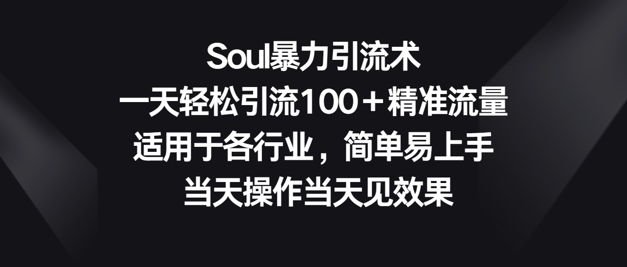Soul暴力引流术，一天轻松引流100＋精准流量，适用于各行业，简单易上手！| 网创圈