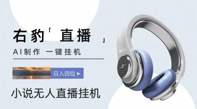 右豹小说无人直播挂机吸金项目，简单易行收益稳定， 月入1000+| 网创圈