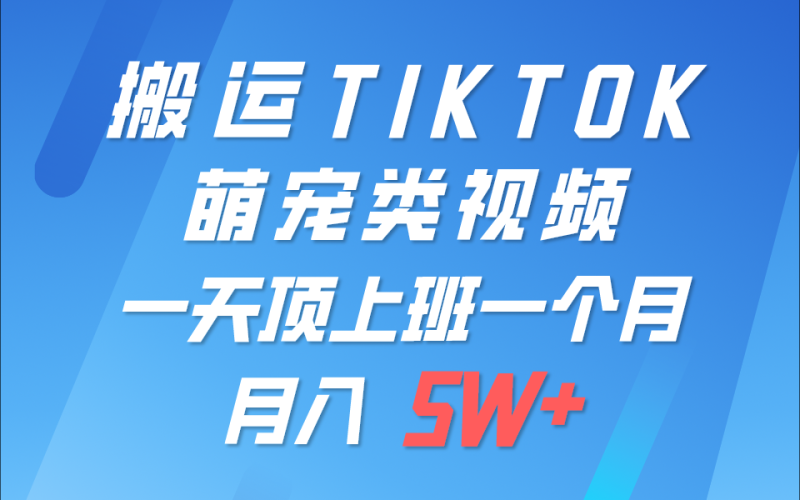 一键搬运TIKTOK萌宠类视频，一部手机即可操作，所有平台均可发布 轻松月入5W+| 网创圈