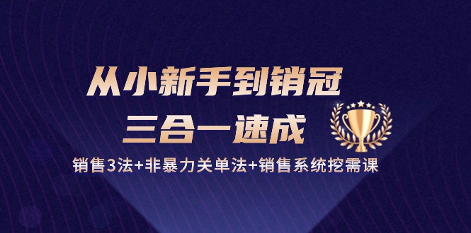 从小新手到销冠三合一速成：销售3法+非暴力关单法+销售系统挖需课 (27节)| 网创圈