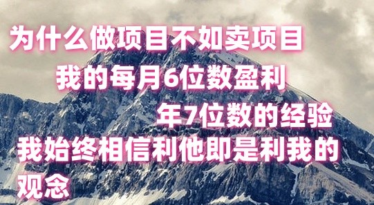 做项目不如卖项目，每月6位数盈利，年7位数经验| 网创圈