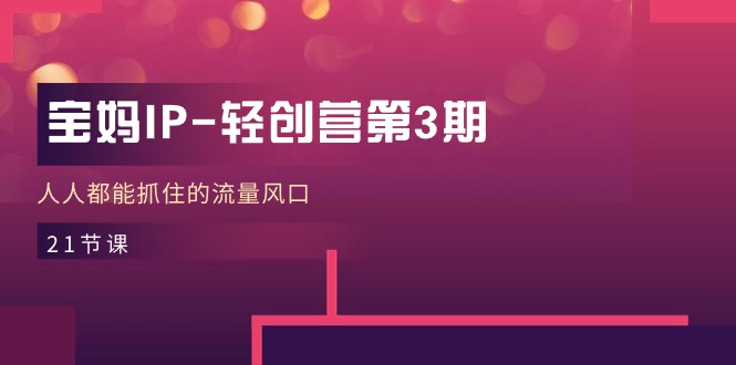 宝妈IP轻创营第3期，人人都能抓住的流量风口（21节课）| 网创圈