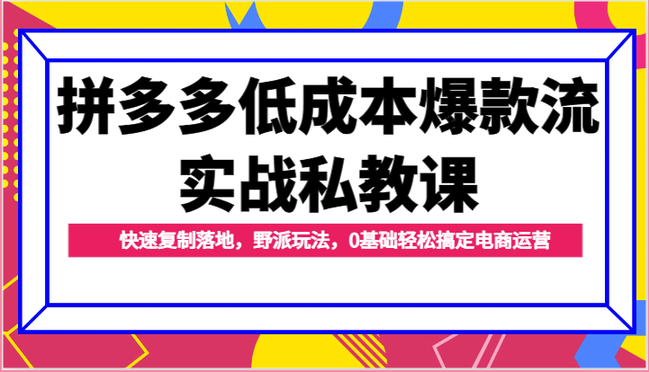 拼多多低成本爆款流实战私教课，快速复制落地，野派玩法，0基础轻松搞定电商运营| 网创圈