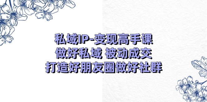 私域IP变现高手课：做好私域被动成交，打造好朋友圈做好社群（18节）| 网创圈