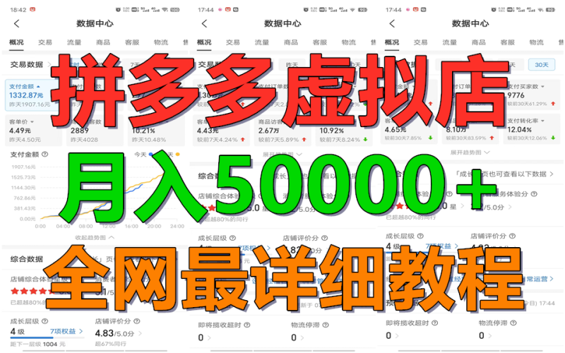 拼多多虚拟电商训练营月入50000+你也行，暴利稳定长久，副业首选| 网创圈
