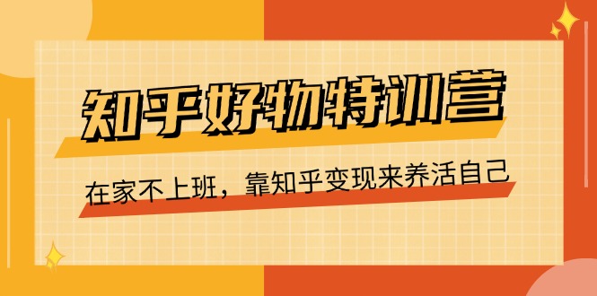 知乎好物特训营，在家不上班，靠知乎变现来养活自己（16节）| 网创圈