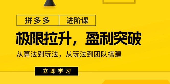 拼多多进阶课：极限拉升/盈利突破：从算法到玩法 从玩法到团队搭建（18节）| 网创圈