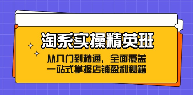 淘系实操精英班：从入门到精通，全面覆盖，一站式掌握店铺盈利秘籍| 网创圈