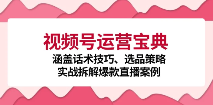 视频号运营宝典：涵盖话术技巧、选品策略、实战拆解爆款直播案例| 网创圈