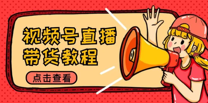 视频号直播带货教程：选品思路与话术拆解/掌握多种带货套路/提升直播效果| 网创圈