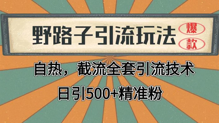 抖音小红书视频号全平台引流打法，全自动引流日引2000+精准客户| 网创圈