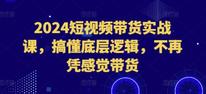2024短视频带货实战课，搞懂底层逻辑，不再凭感觉带货| 网创圈