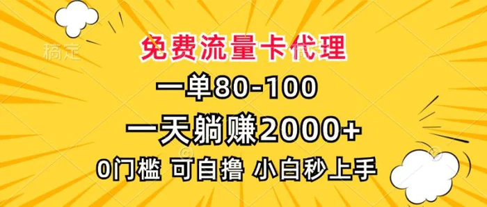 （13551期）一单80，免费流量卡代理，一天躺赚2000+，0门槛，小白也能轻松上手| 网创圈