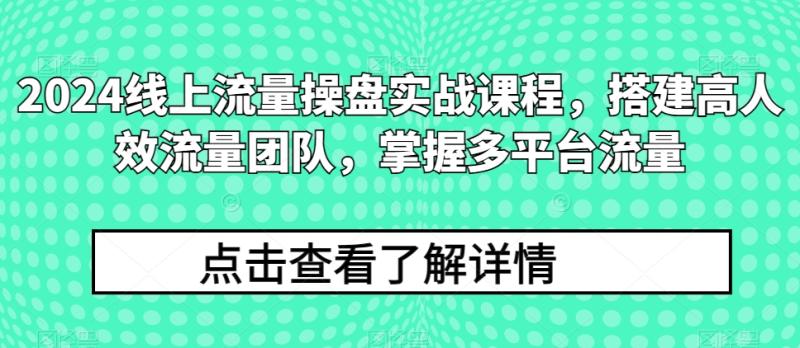 2024线上流量操盘实战课程，搭建高人效流量团队，掌握多平台流量| 网创圈