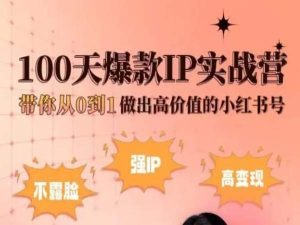 小红书100天爆款IP实战营，带你从0到1做出高价值的小红书号| 网创圈
