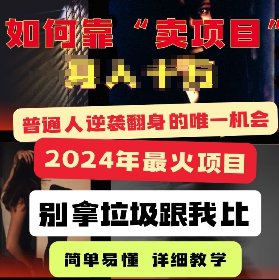 2024年最火项目，如何靠“卖项目”逆装翻身，简单易懂 详细教学 完整版5节课| 网创圈