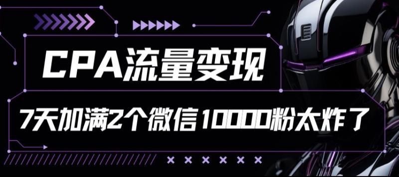 CPA流量变现7天加满两个微信10000粉| 网创圈