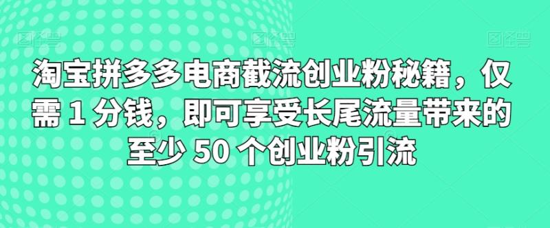 淘宝拼多多电商截流创业粉秘籍，仅需 1 分钱，即可享受长尾流量带来的至少 50 个创业粉引流| 网创圈
