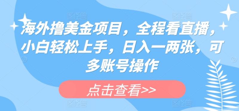 海外撸美金项目，全程看直播，小白轻松上手，日入一两张，可多账号操作【揭秘】| 网创圈
