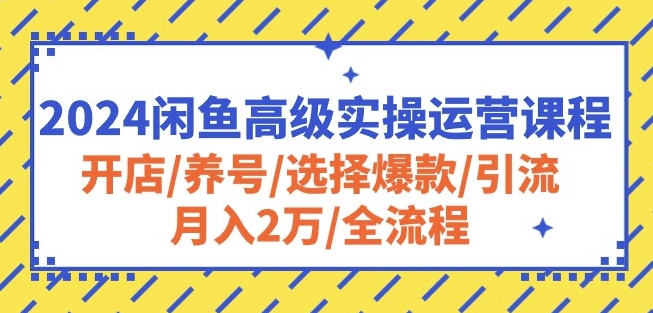 2024闲鱼高级实操运营课程：开店/养号/选择爆款/引流/月入2万/全流程| 网创圈