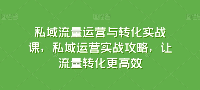 私域流量运营与转化实战课，私域运营实战攻略，让流量转化更高效| 网创圈
