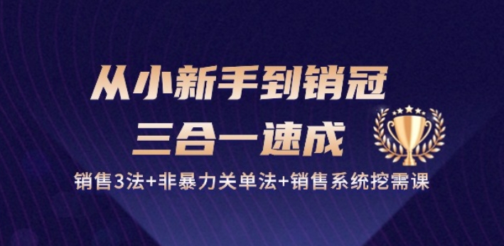 从小新手到销冠 三合一速成：销售3法+非暴力关单法+销售系统挖需课 (27节)| 网创圈