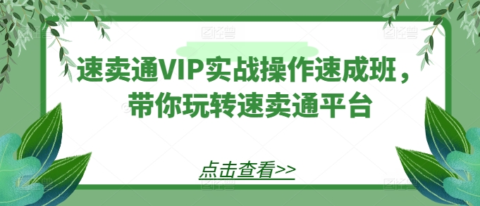 速卖通VIP实战操作速成班，带你玩转速卖通平台| 网创圈